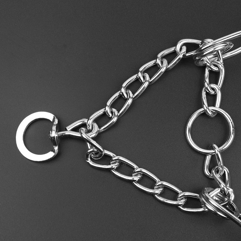 Collare PawNova Pincher per Cani Edizione B Elegante Uso Quotidiano