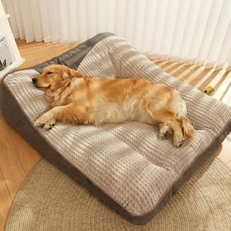 CozyNest Orthopedic Dog Bed For Large Dogs Scratch Resistant And Spinal Support