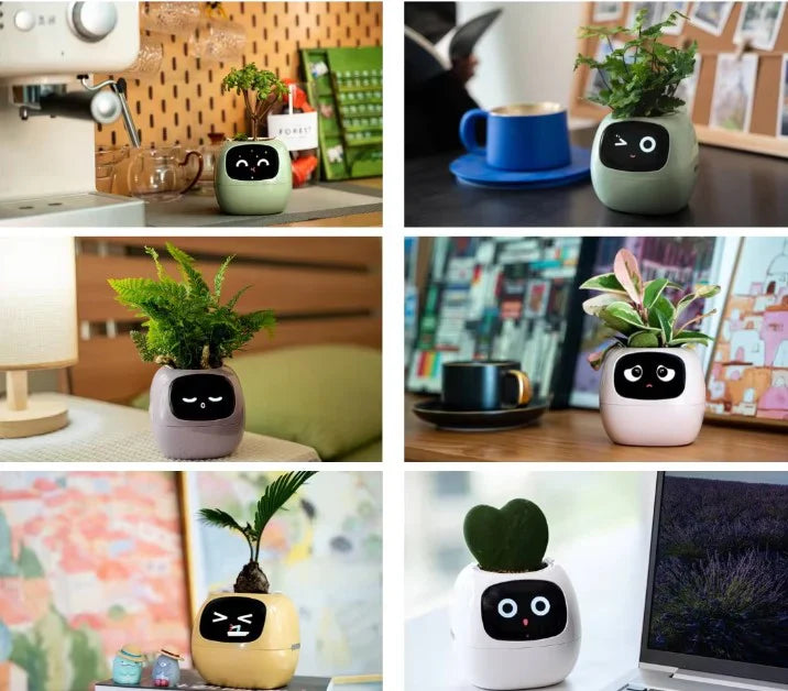 Ivy okos virágtartó: 49 kifejezés és AI érzékelők a növényápoláshoz