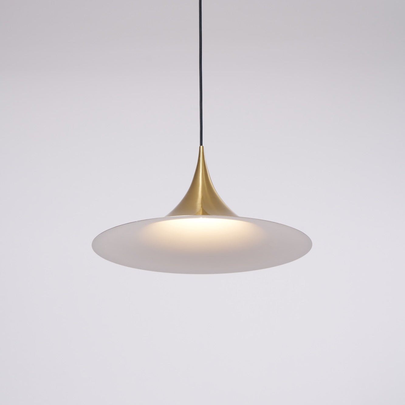 Semi Arched Pendant Light