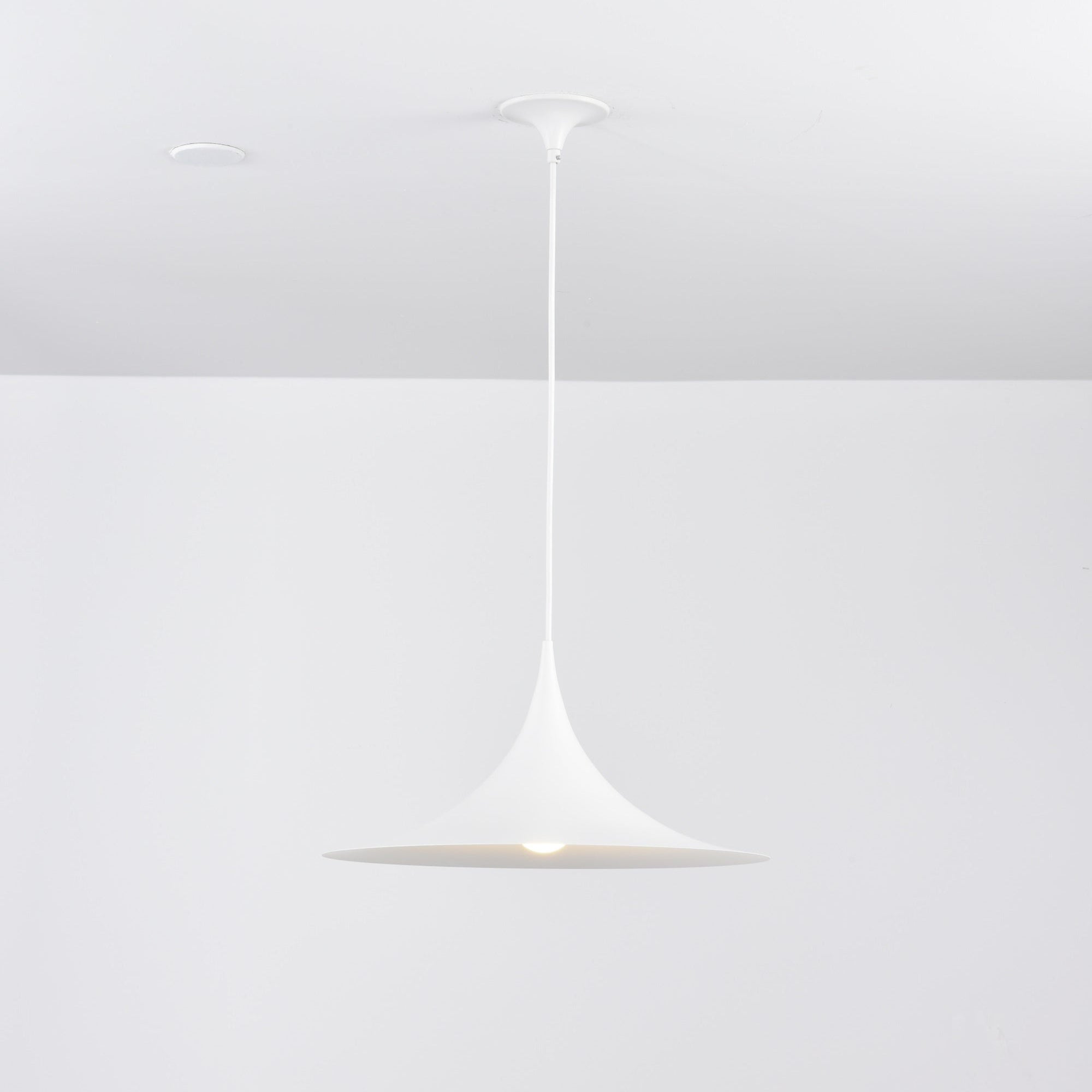 Semi Arched Pendant Light