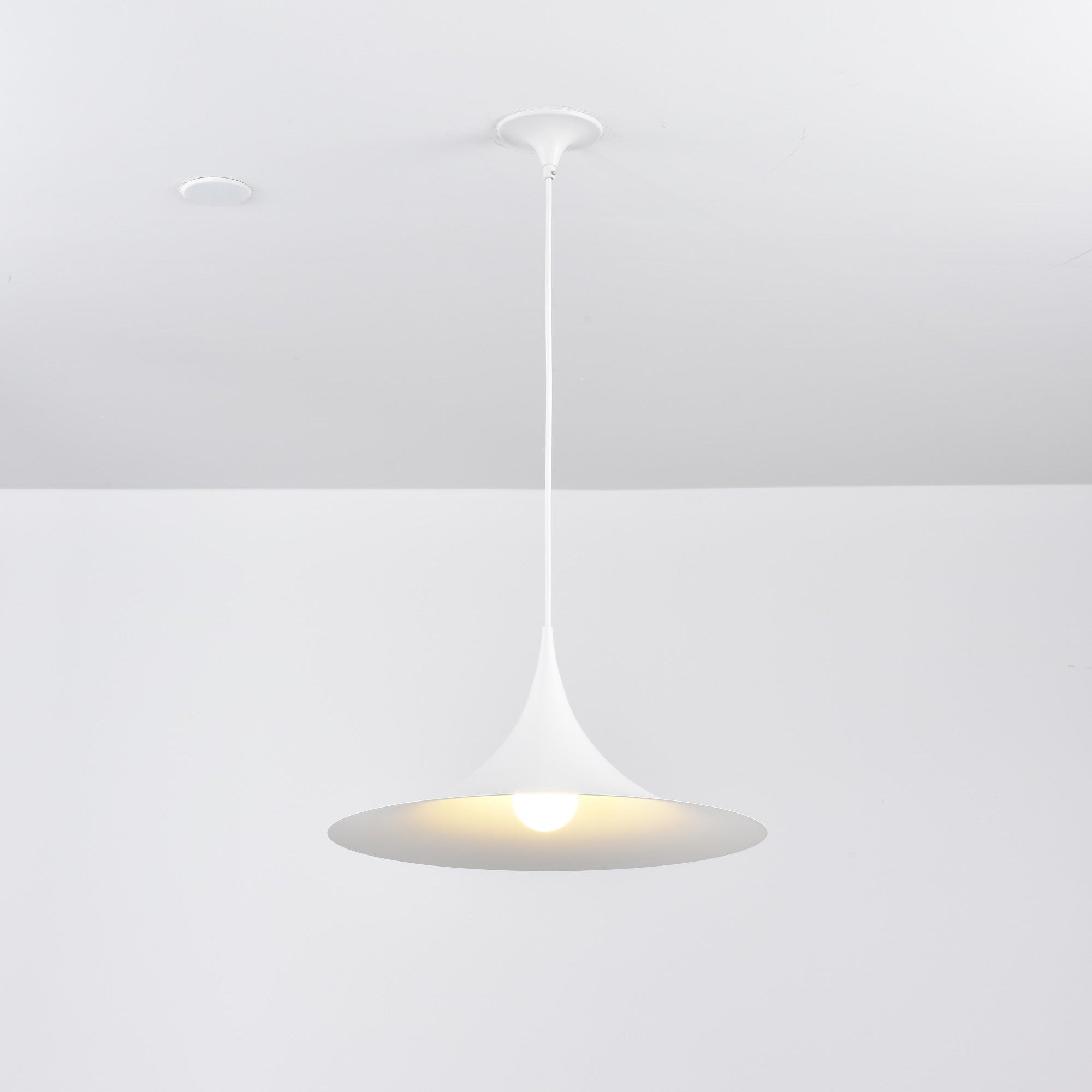 Semi Arched Pendant Light