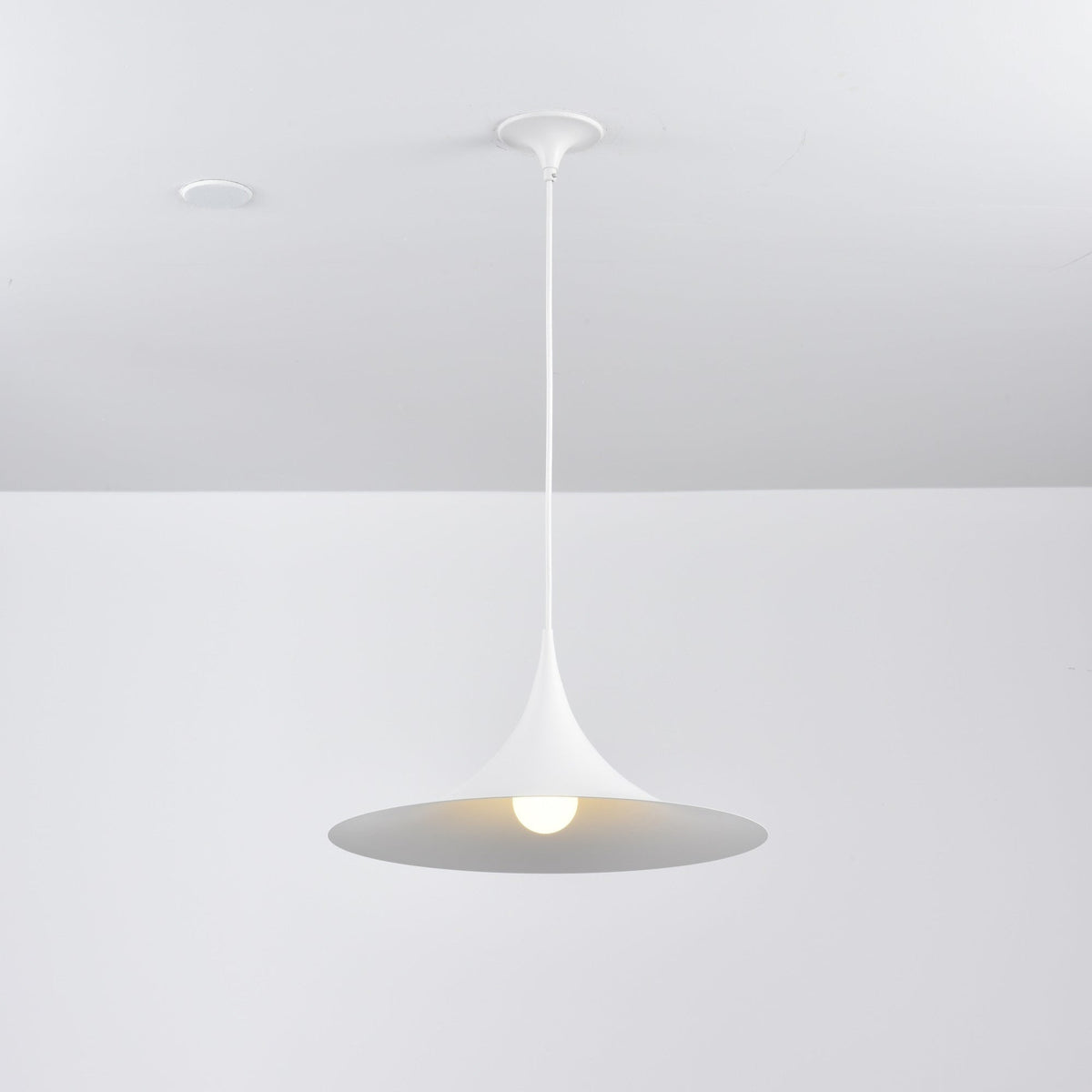 Semi Arched Pendant Light