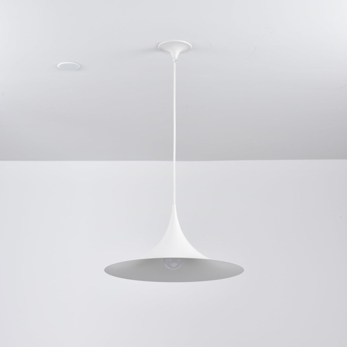 Semi Arched Pendant Light