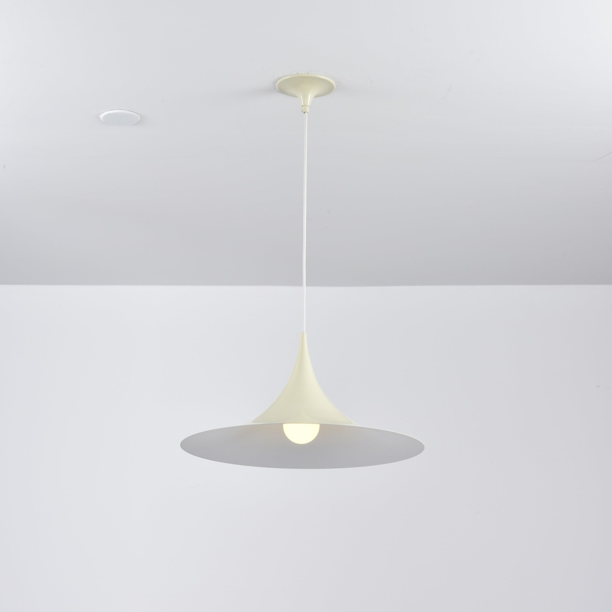 Semi Arched Pendant Light