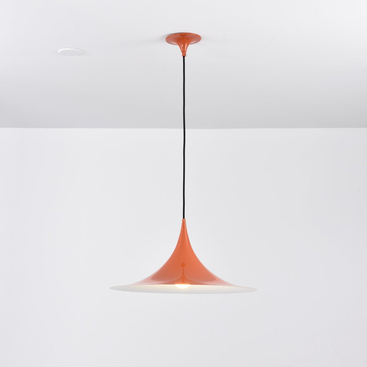 Semi Arched Pendant Light