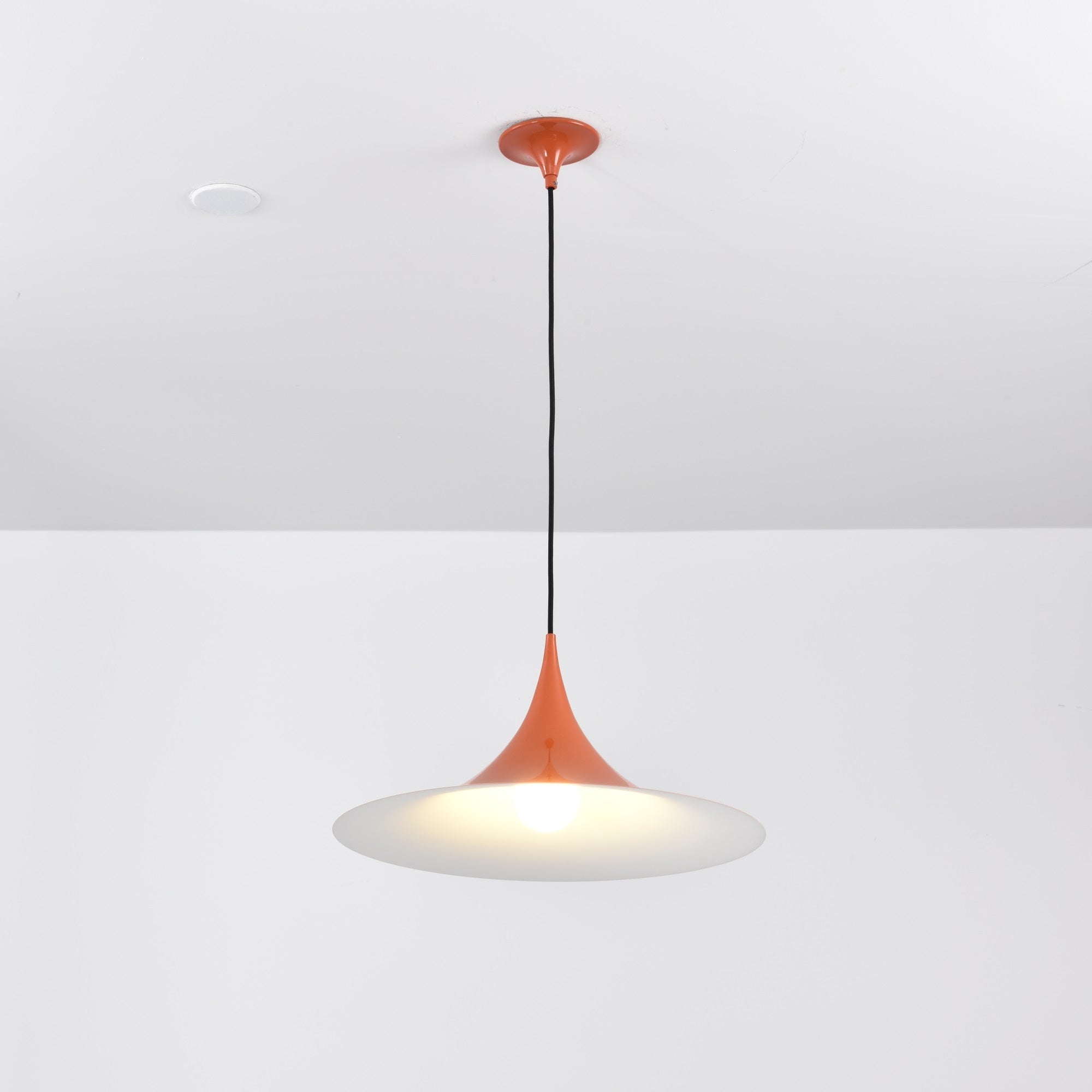 Semi Arched Pendant Light