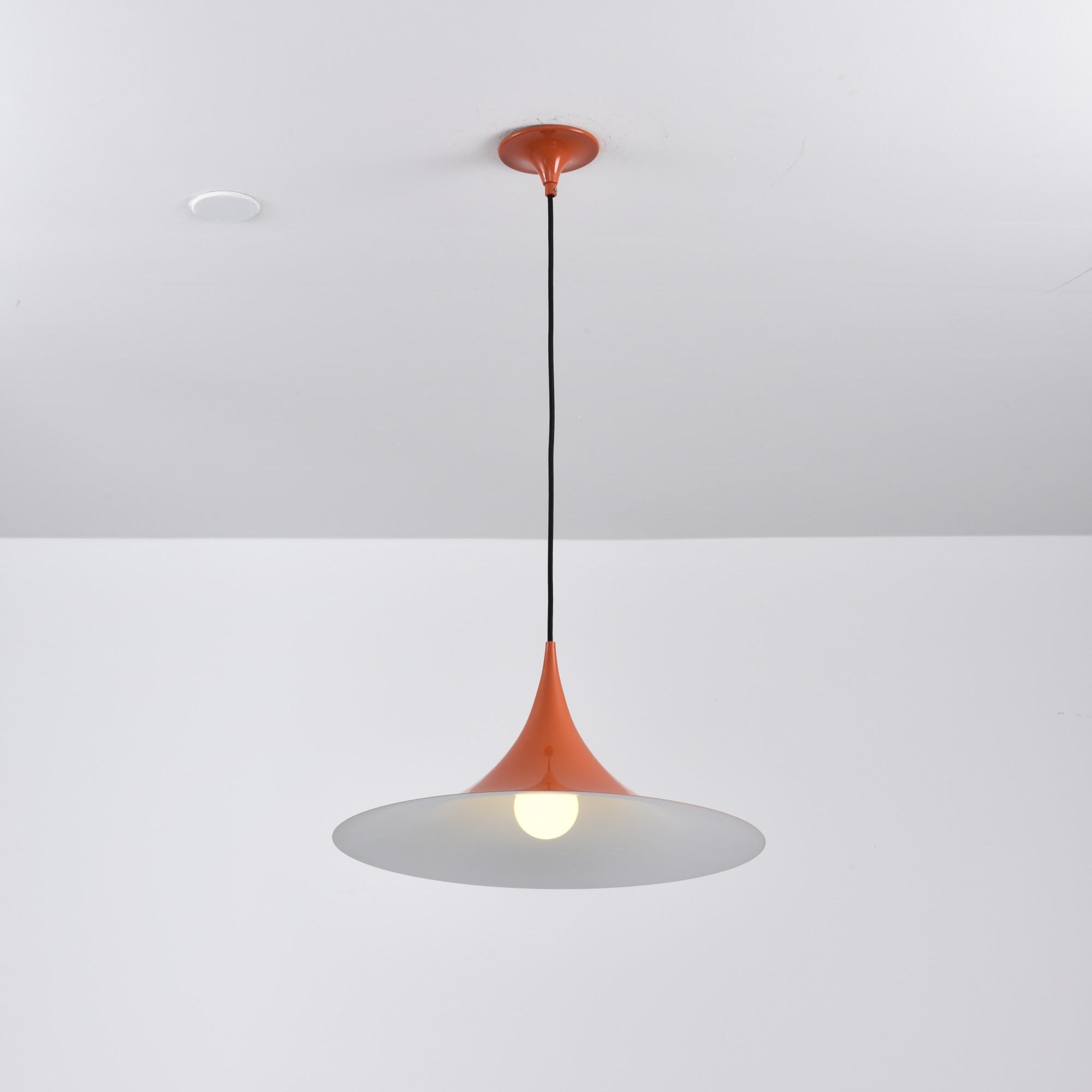 Semi Arched Pendant Light
