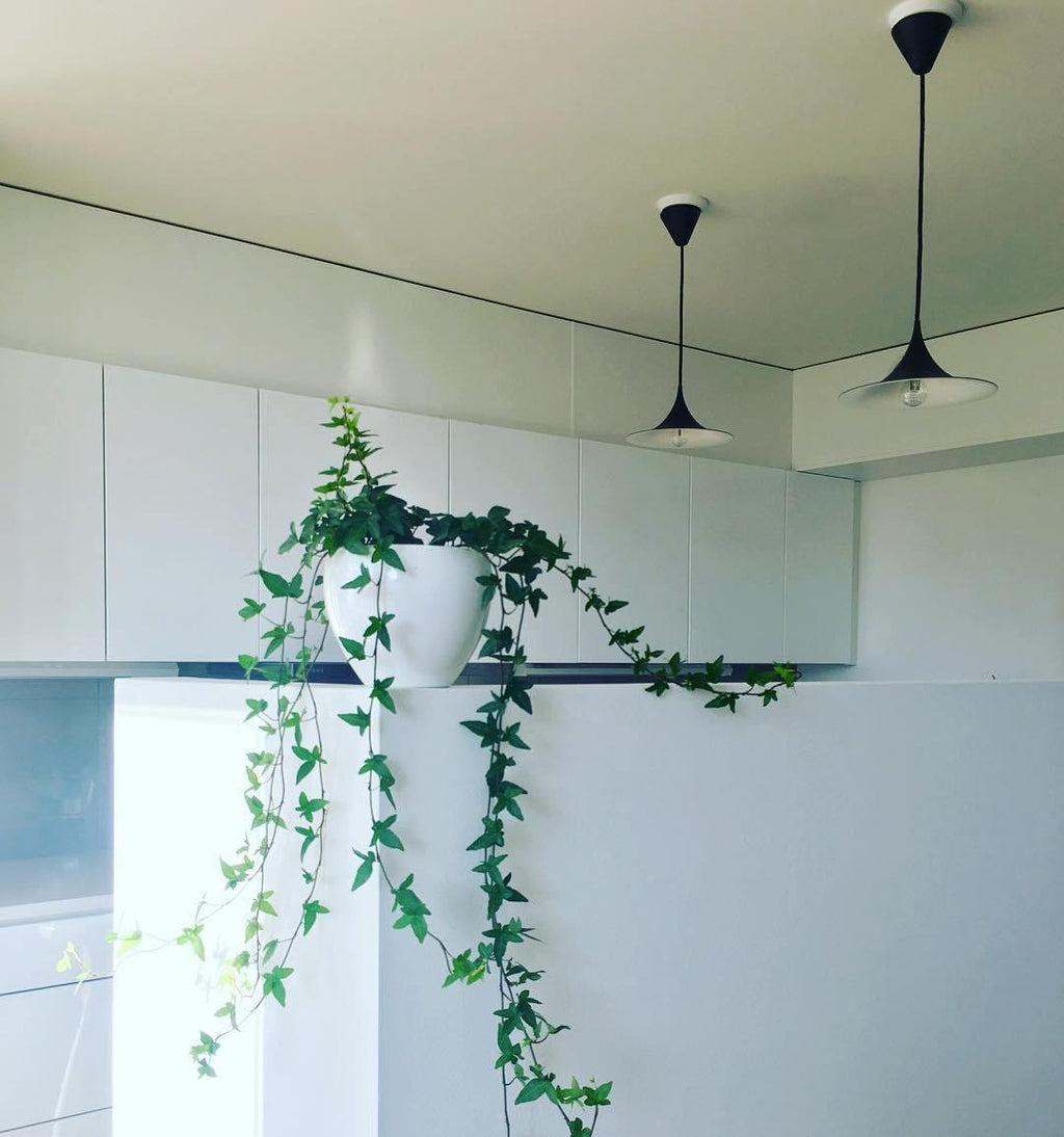 Semi Arched Pendant Light