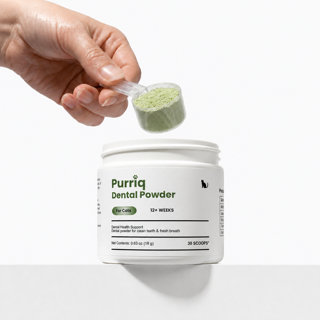 Scoop of powder above the tub