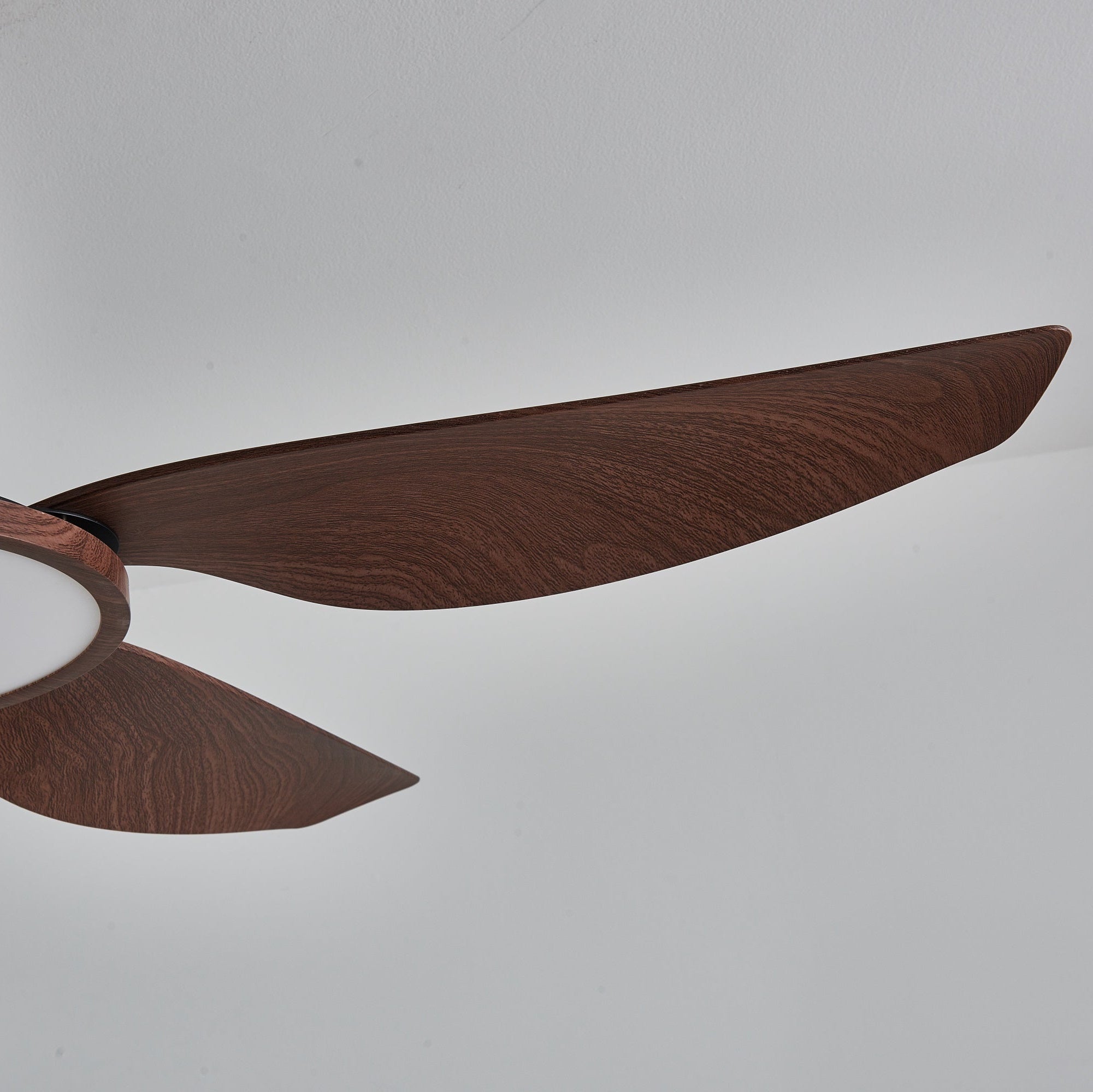 Sirocco Breeze Ceiling Fan and Center Light