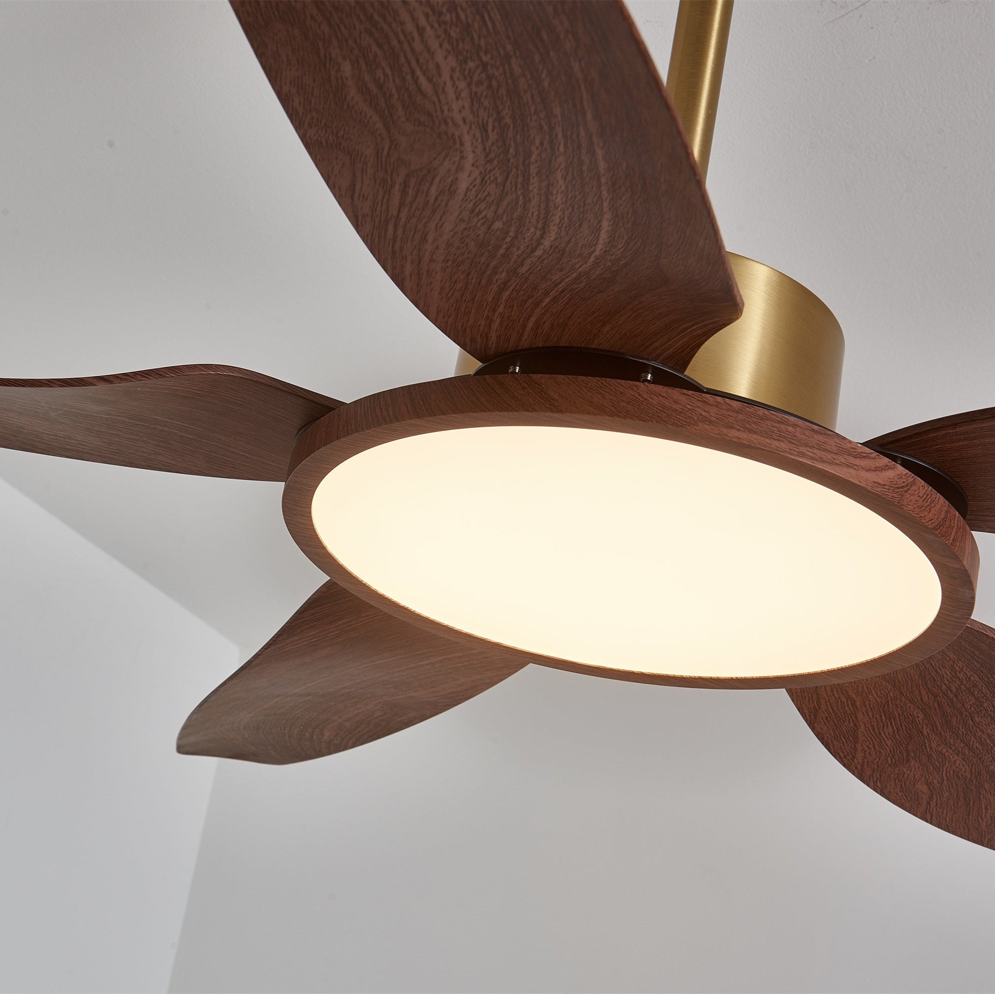 Sirocco Breeze Ceiling Fan and Center Light