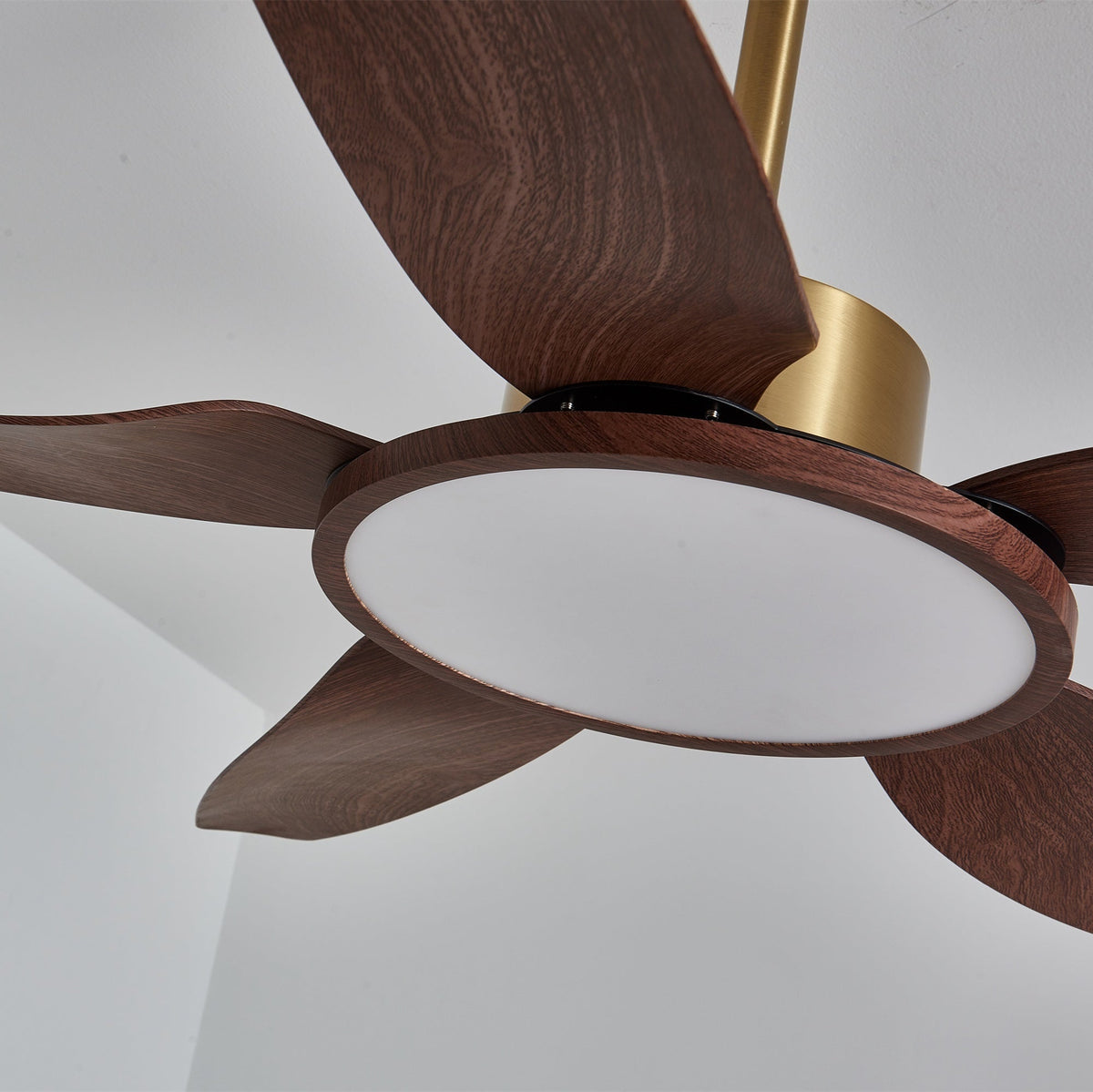Sirocco Breeze Ceiling Fan and Center Light