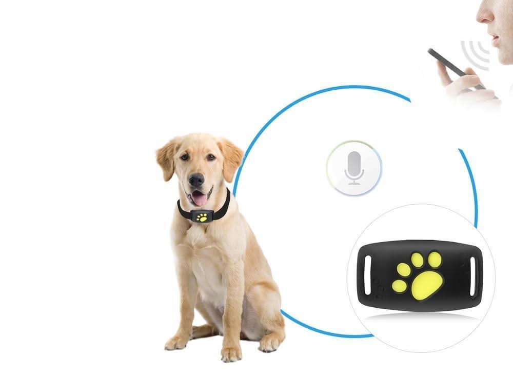 GPS 猫咪追踪项圈，用于实时位置监控