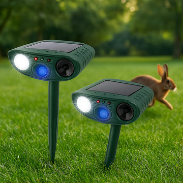 Lapin Dansant Solaire – Déco Voiture Et Bureau – Figurine à Tête Secouée – Énergie Solaire – Cadeau Pâques Ou Anniversaire