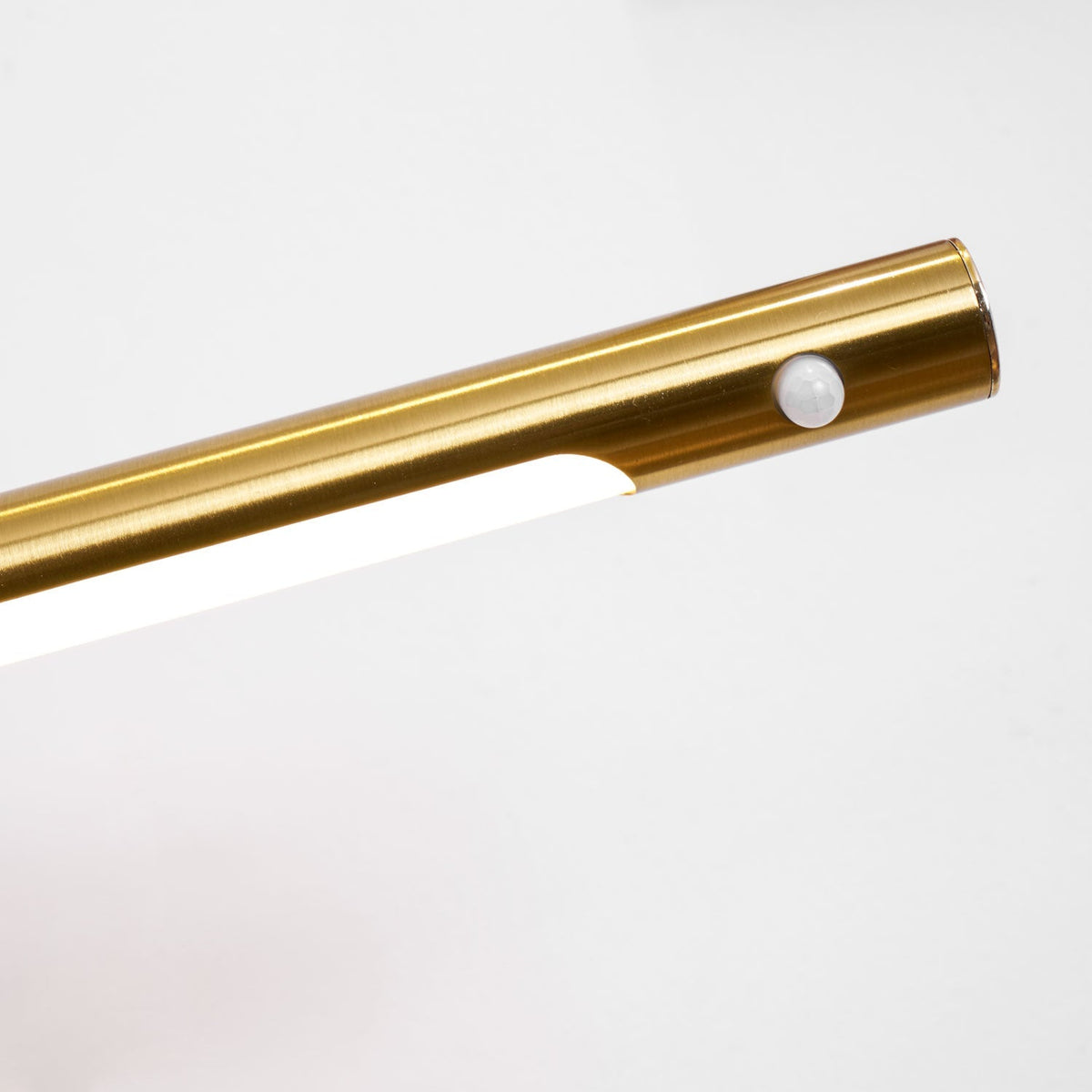 Stag Horn Picture Light Wall Sconce