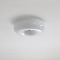 Swirl Glass Ceiling Lamp - Vakkerlight