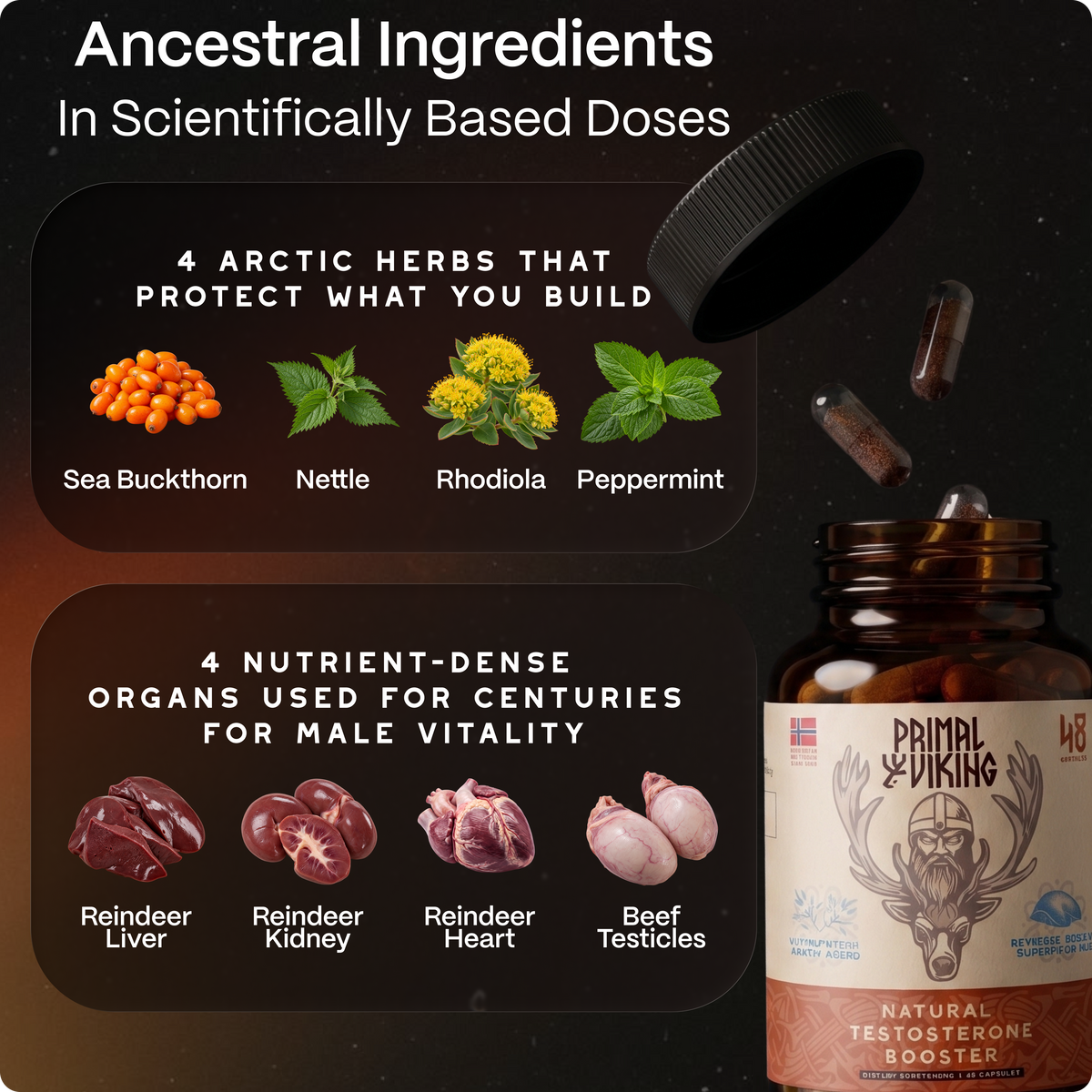 Sea buckthorn, nettle, rhodiola and peppermint next to reindeer liver, kidney, heart and beef testicle