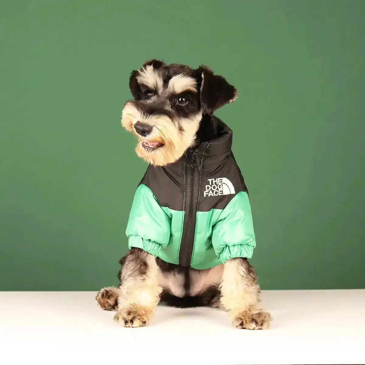 جاكيت وجه كلب PawVogue نوع A للكلاب بأسلوب كلاسيكي
