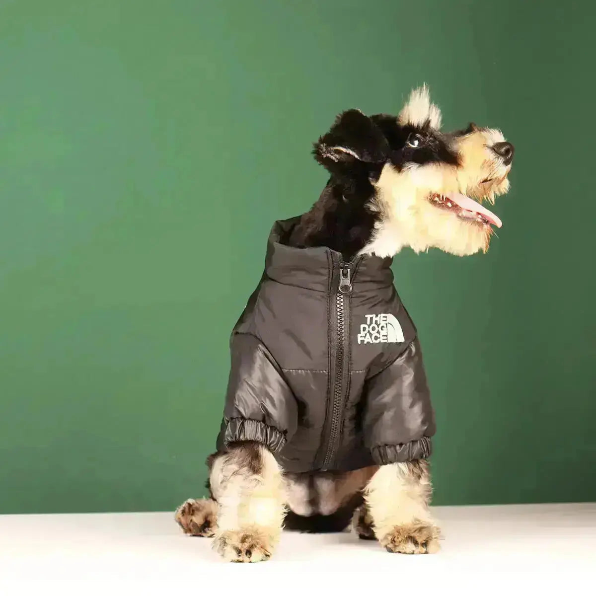 جاكيت وجه كلب PawVogue نوع A للكلاب بأسلوب كلاسيكي