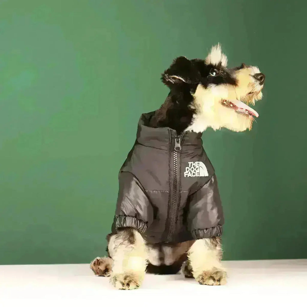جاكيت وجه كلب PawVogue نوع A للكلاب بأسلوب كلاسيكي