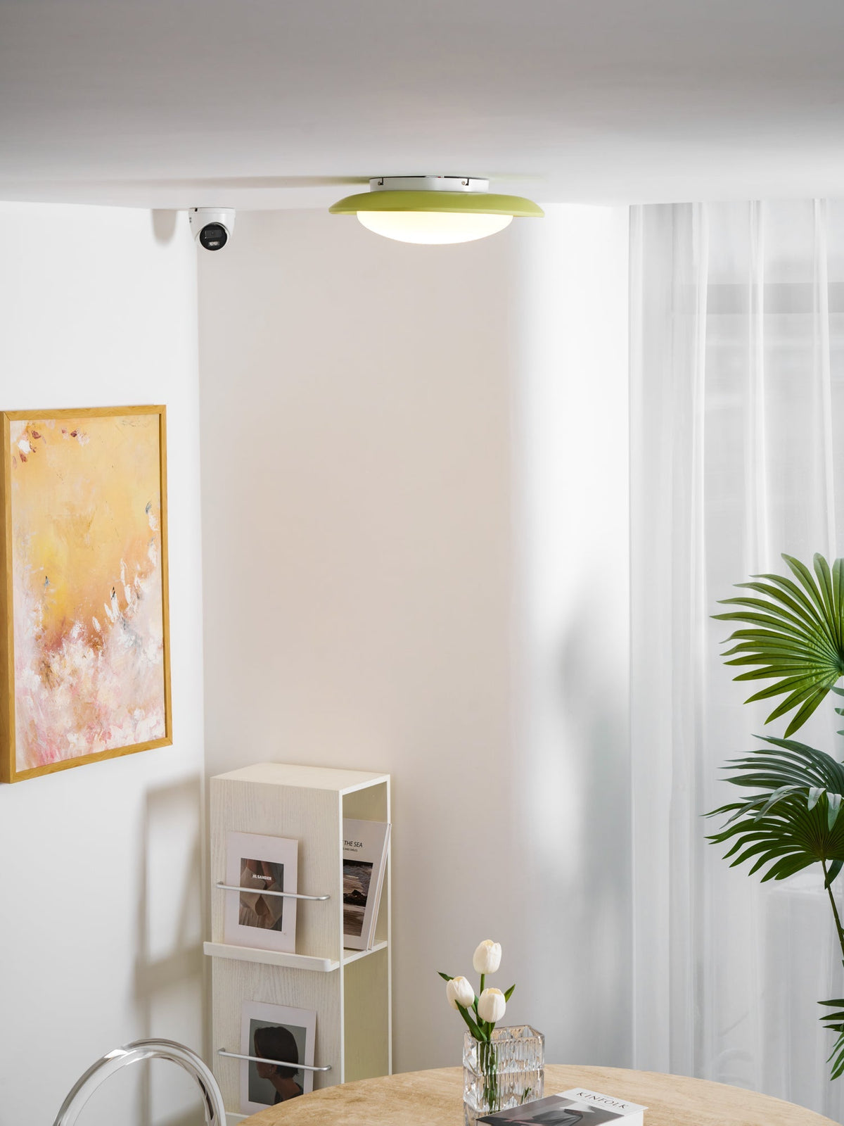 Tonia Contemporary Ceiling Light