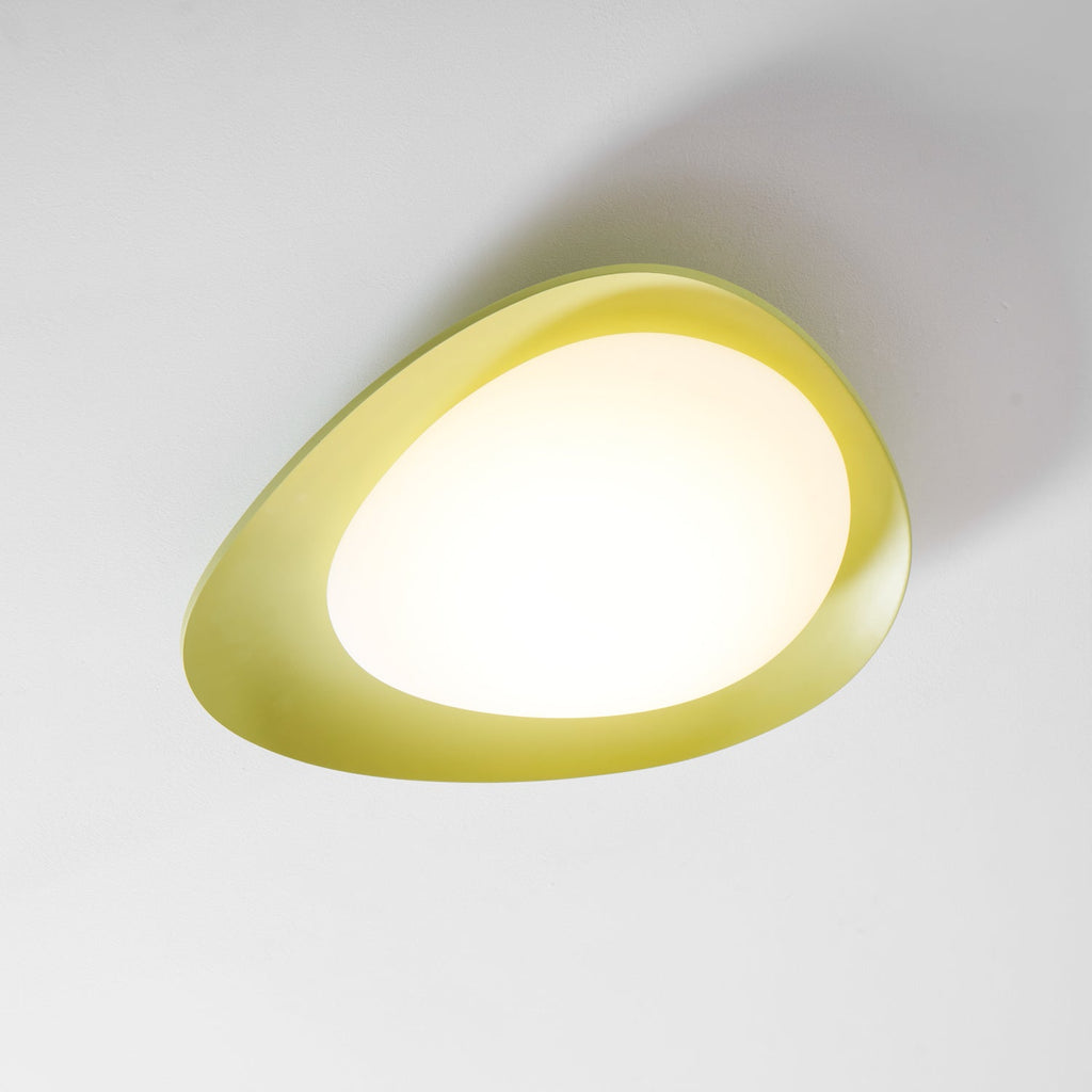Tonia Contemporary Ceiling Light