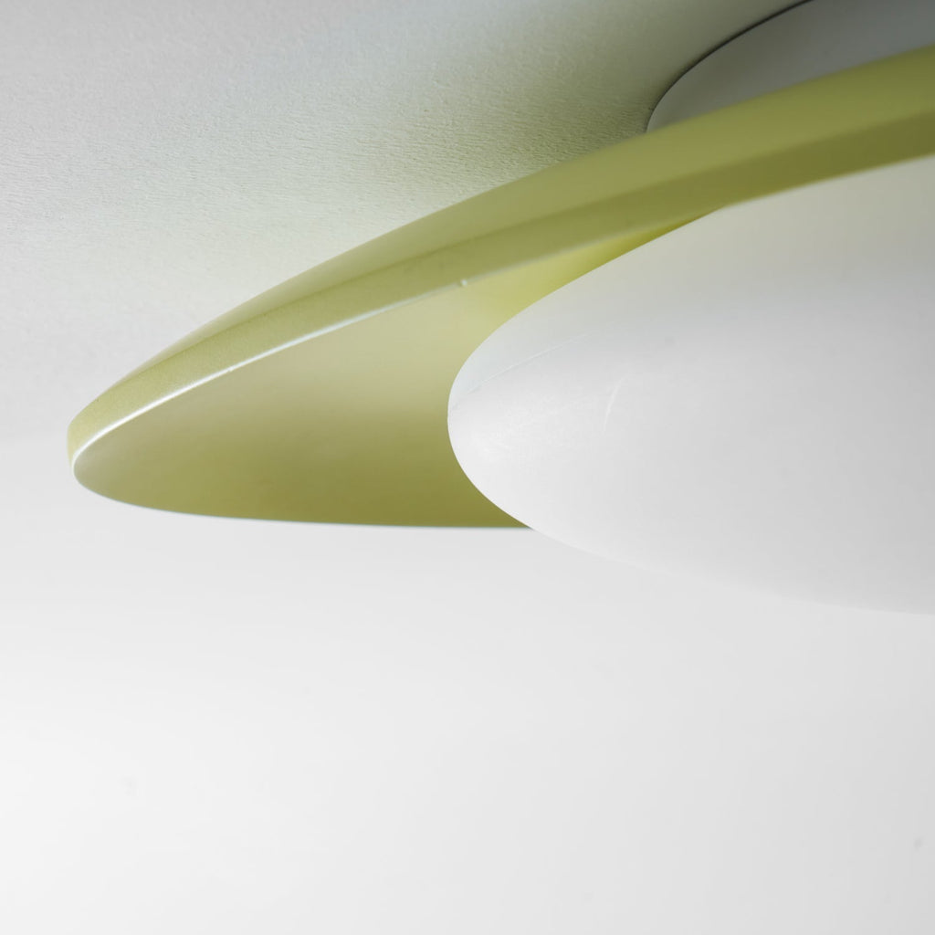 Tonia Contemporary Ceiling Light