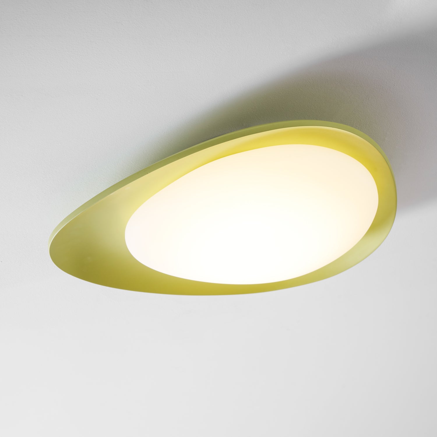 Tonia Contemporary Ceiling Light