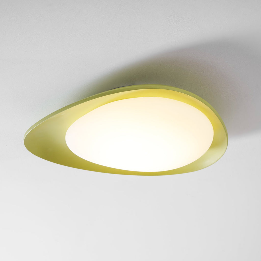 Tonia Contemporary Ceiling Light