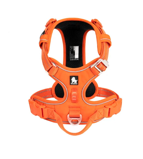 Tali Kekang Anjing Reflektif Nylon TrailGlow Tanpa Tarikan Untuk Jalan-Jalan Harian