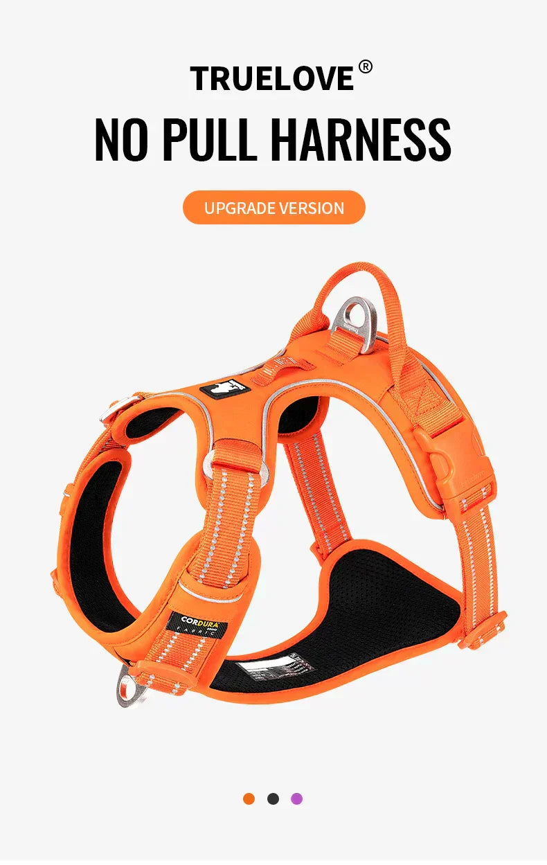 Tali Kekang Anjing Reflektif Nylon TrailGlow Tanpa Tarikan Untuk Jalan-Jalan Harian