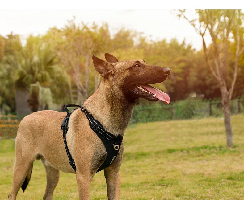 Tali Kekang Anjing Reflektif Nylon TrailGlow Tanpa Tarikan Untuk Jalan-Jalan Harian