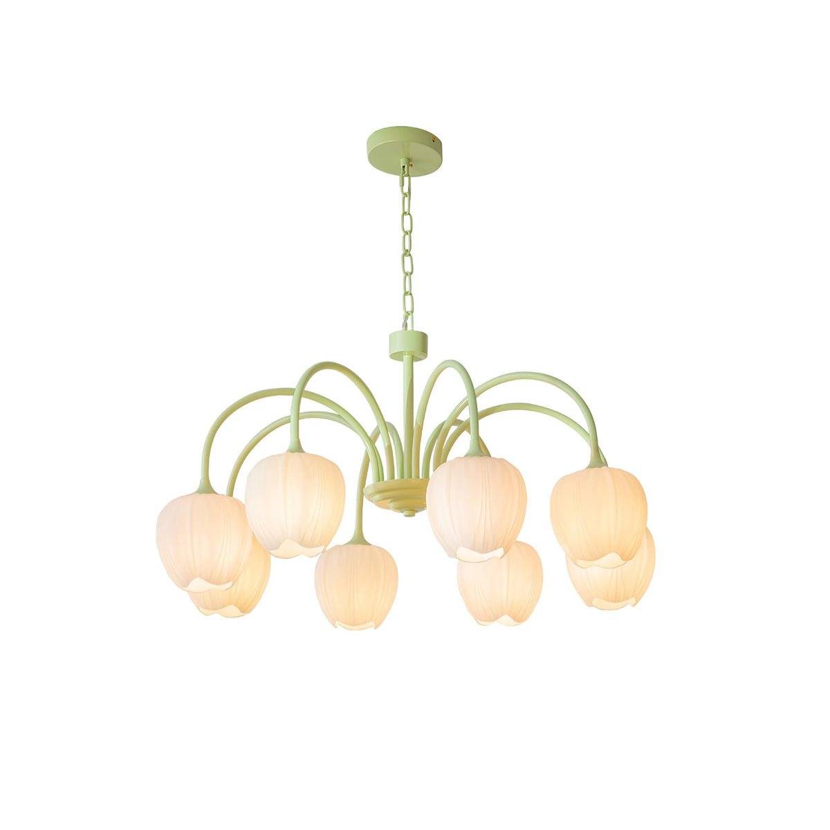 VKL-1002 Tulip Matcha Chandelier