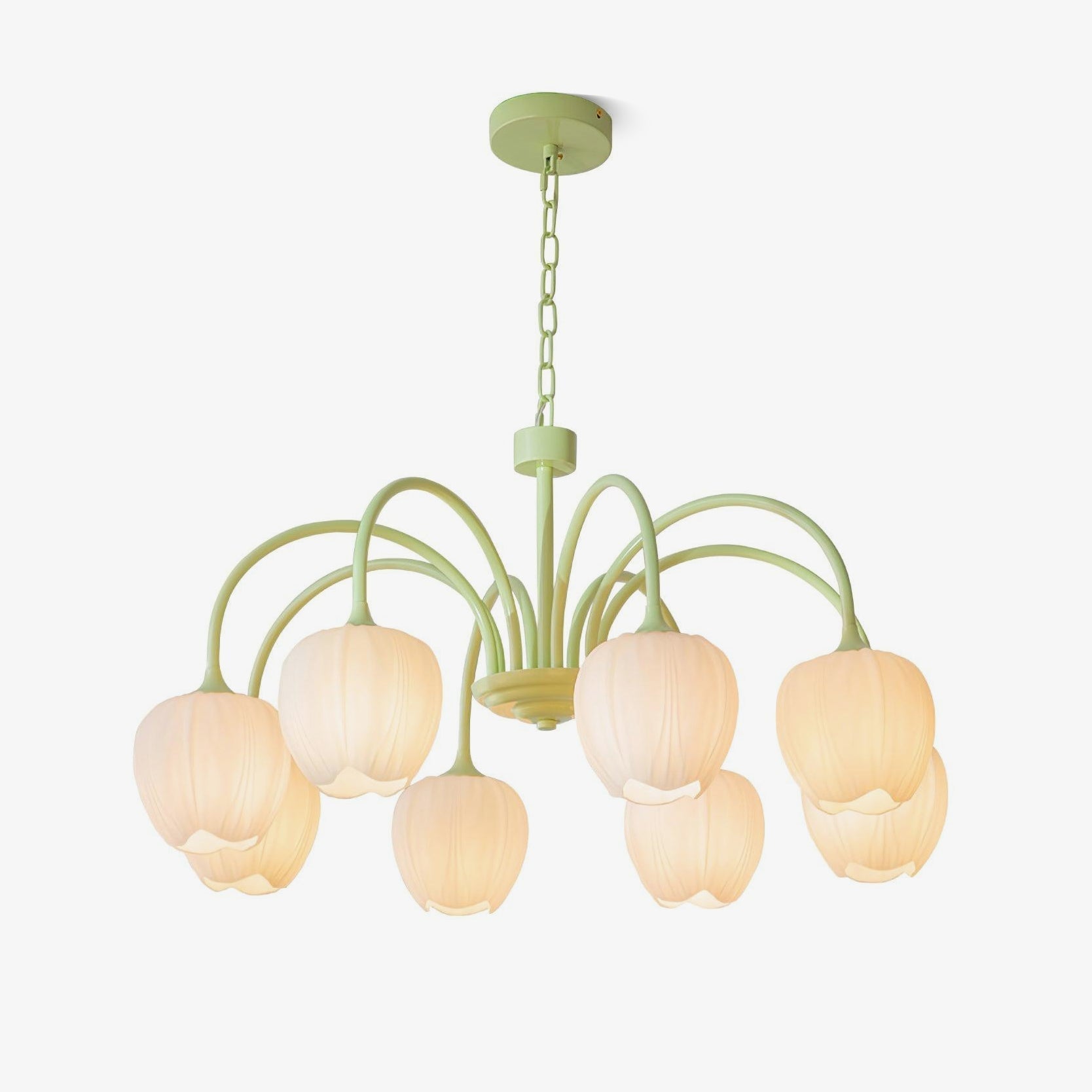 VKL-1002 Tulip Matcha Chandelier