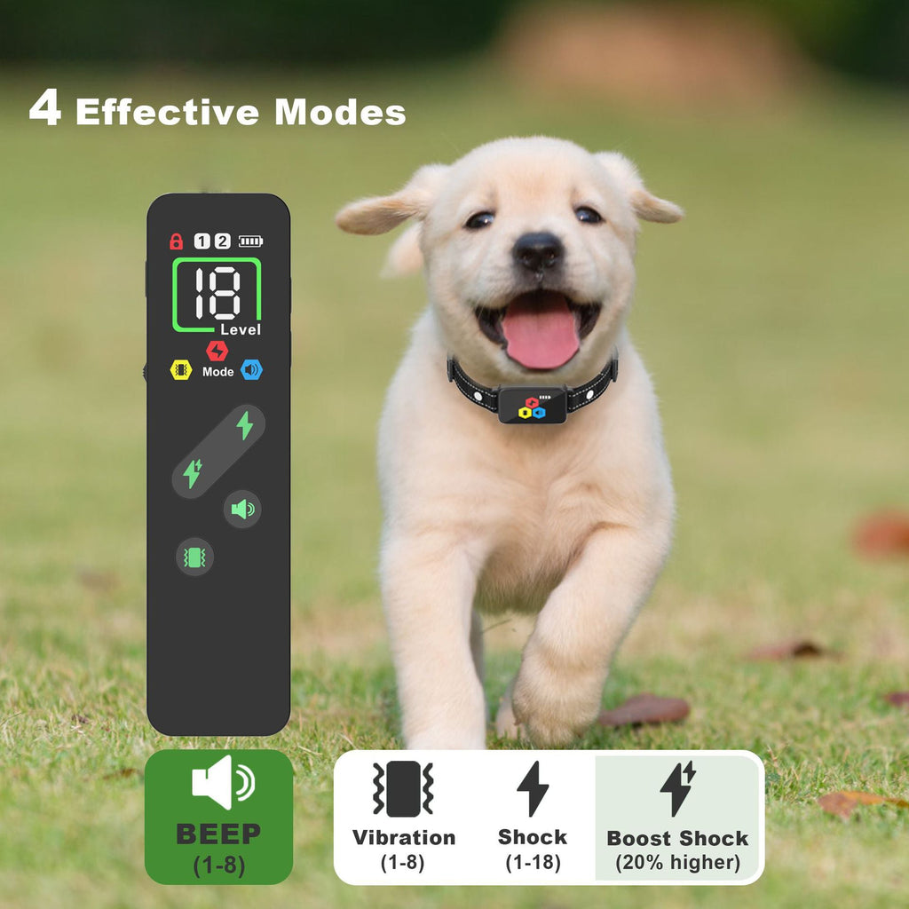 Collare per addestramento cani Pawfey impermeabile migliorato con telecomando