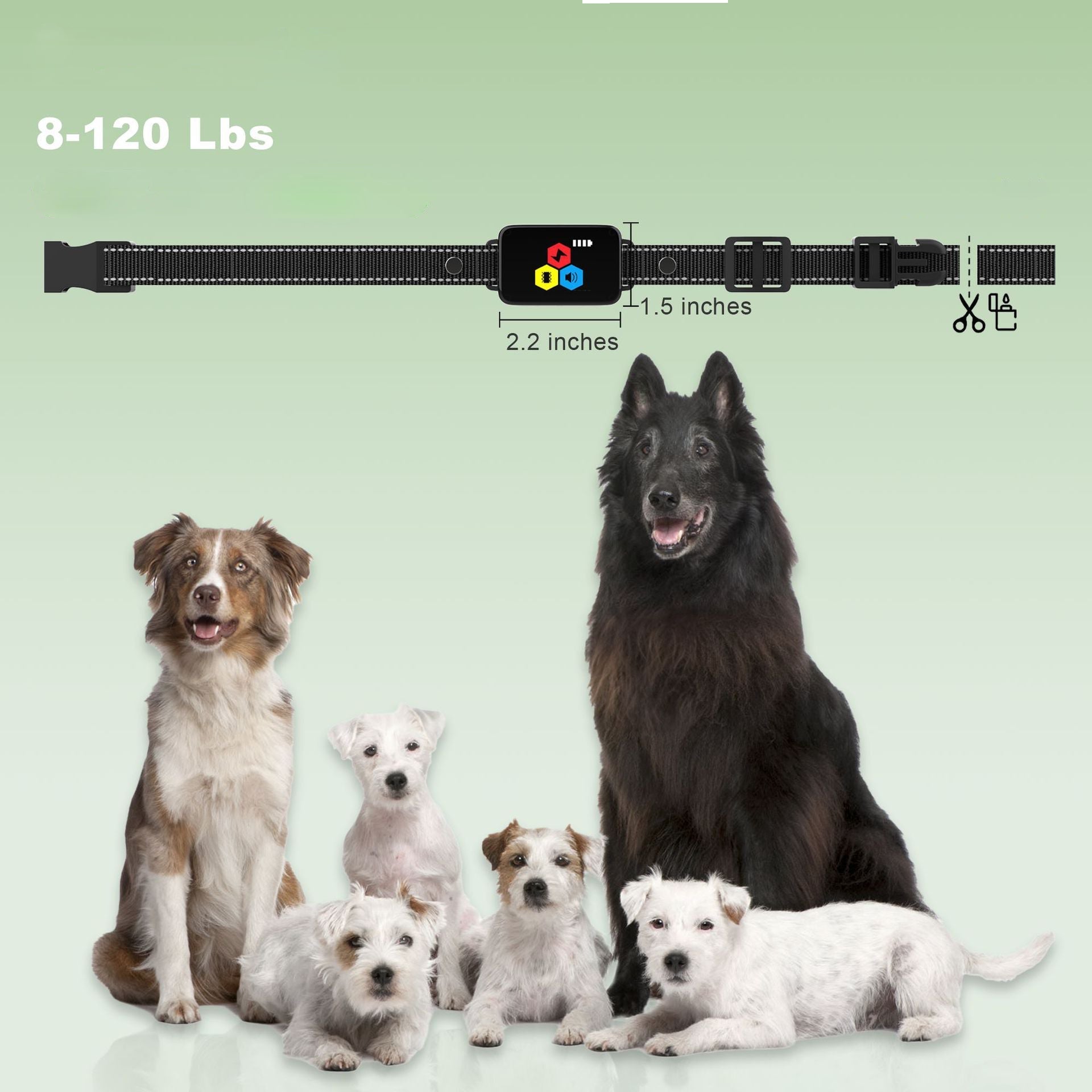 Collare per addestramento cani Pawfey impermeabile migliorato con telecomando