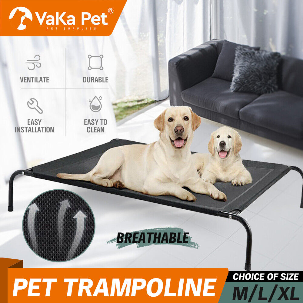 Erhöhtes Haustierbett Hund Welpe Katze Trampolin Hängematte Hochgestellt Schwerlast Extra Groß