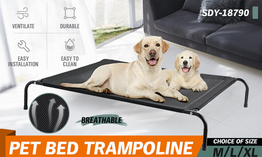 Erhöhtes Haustierbett Hund Welpe Katze Trampolin Hängematte Hochgestellt Schwerlast Extra Groß