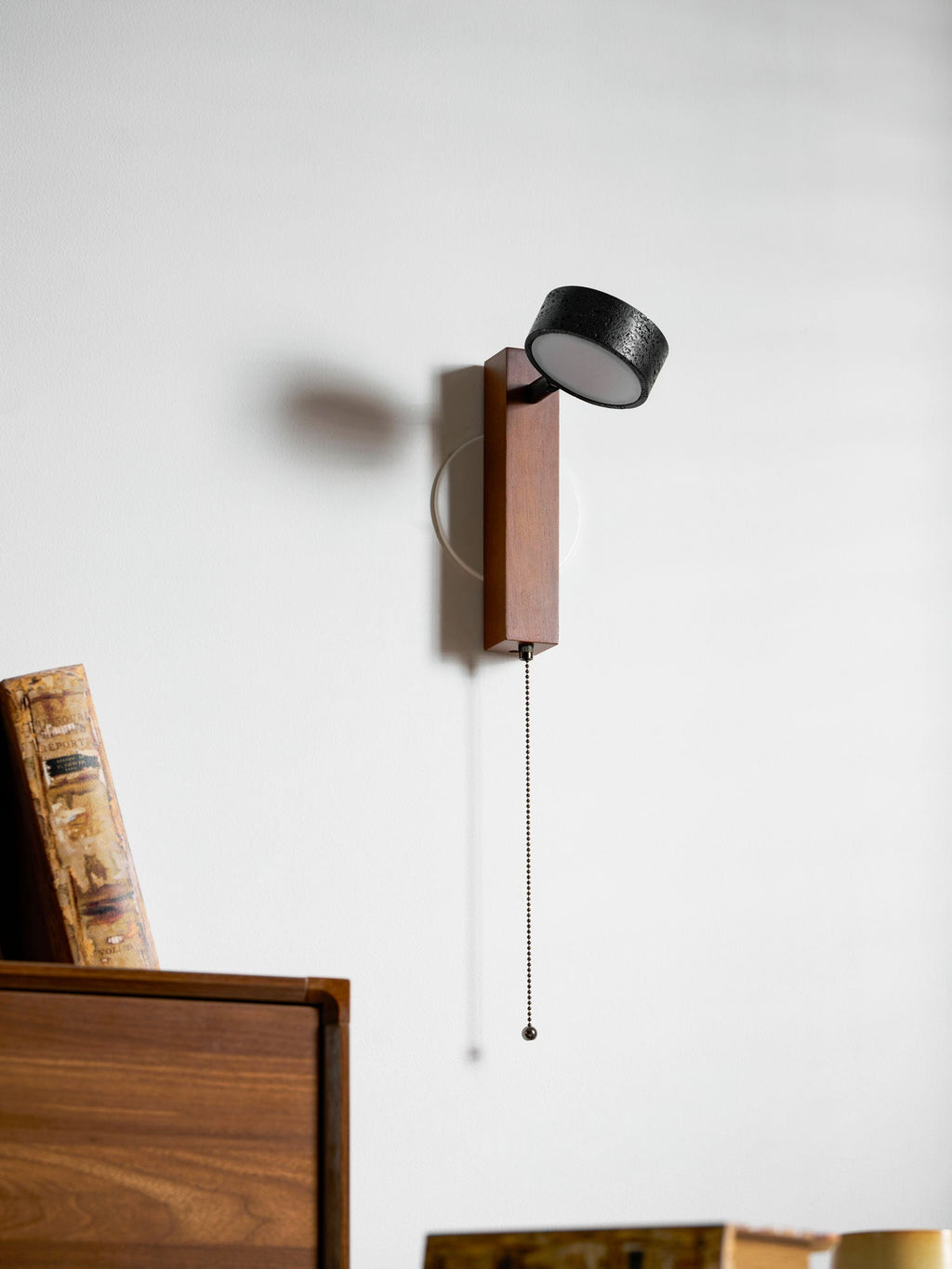 Vera Contemporary Wall Sconce
