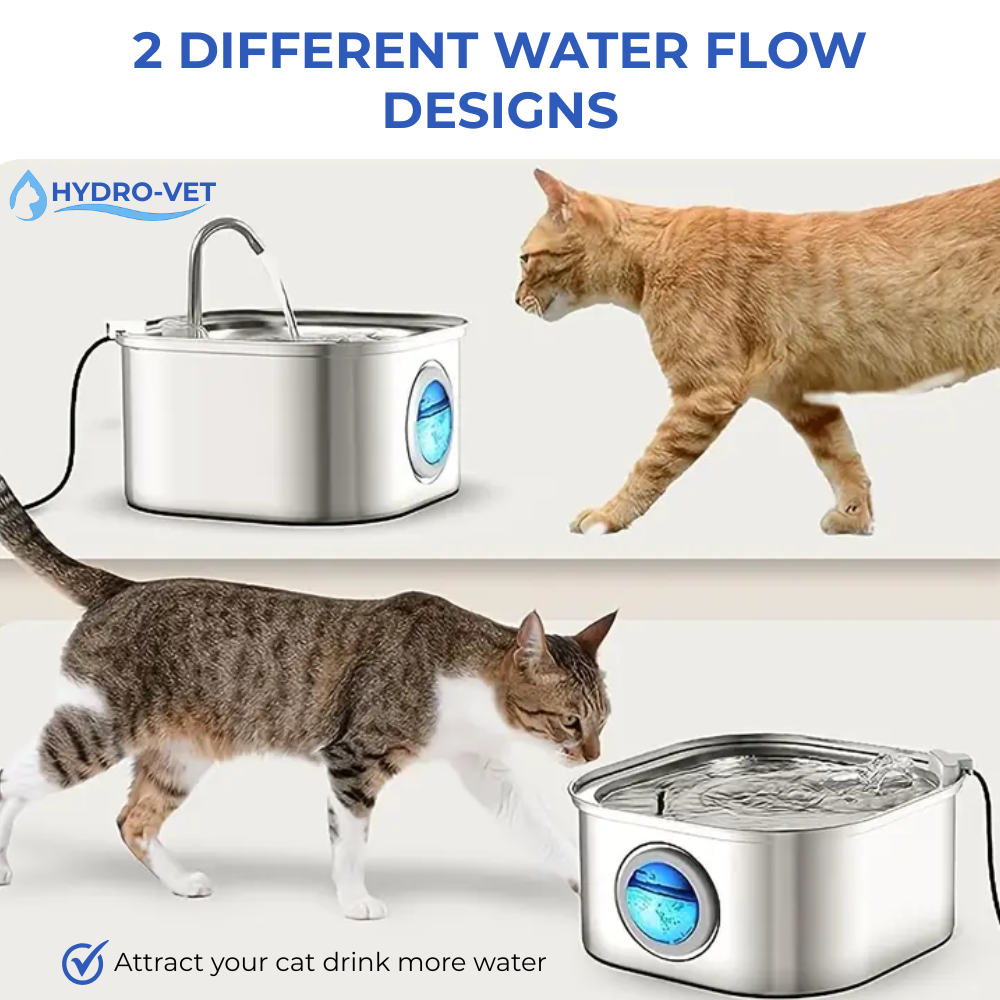 CalmFlow Kattenfontein van Vetrang met Gemakkelijke Reiniging, Compact voor Alle Huisdieren