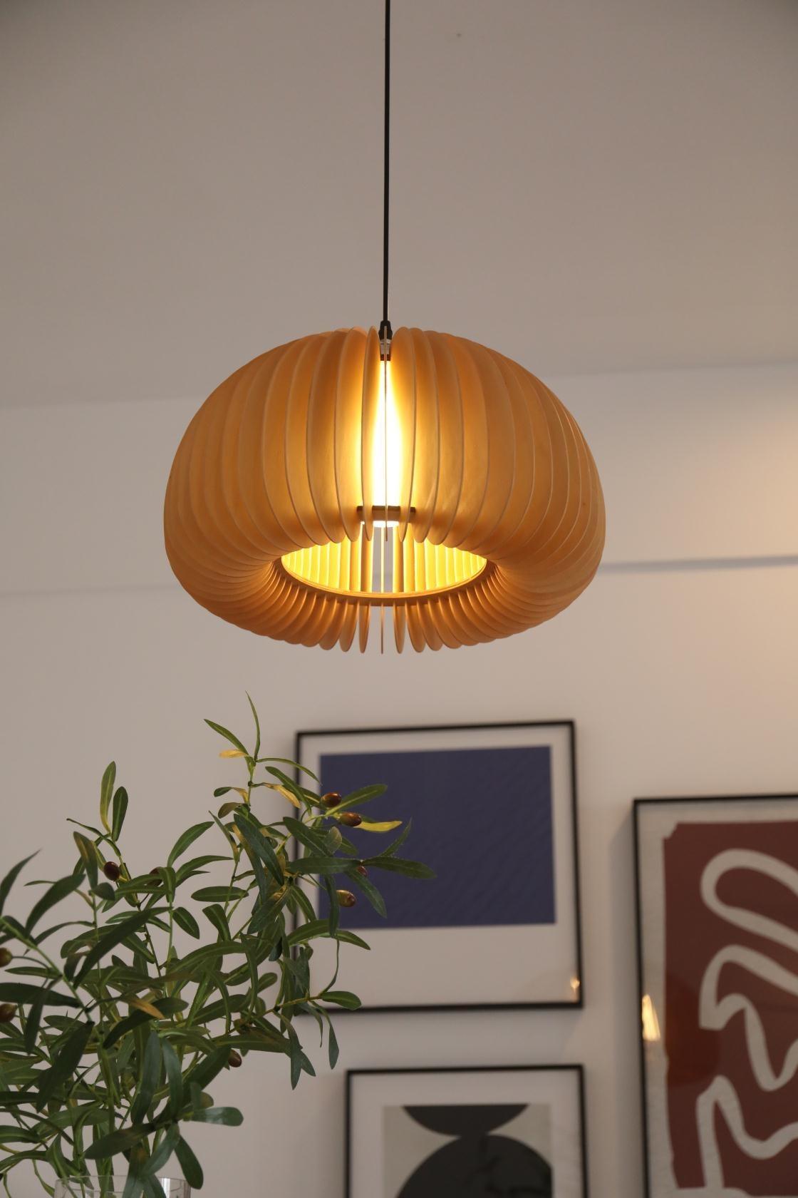 Lampada a sospensione da soffitto con zucca in legno
