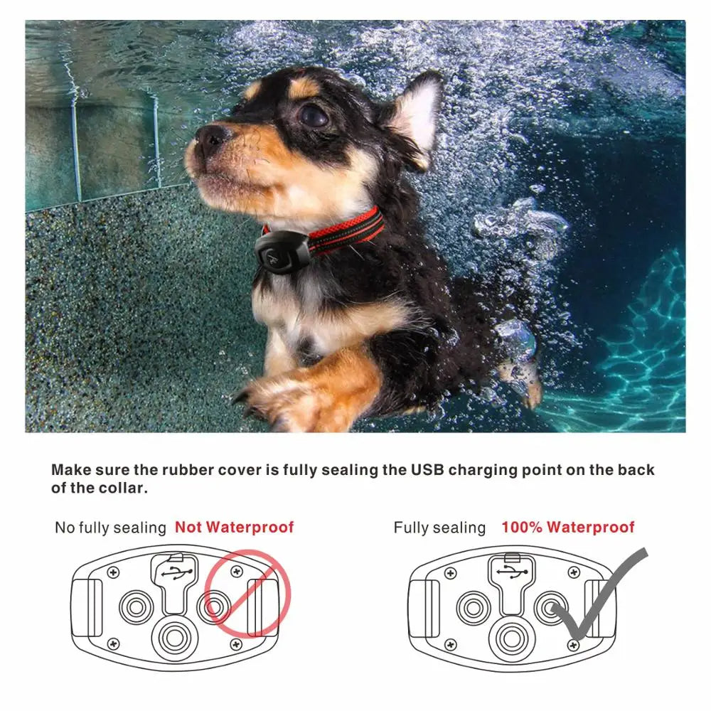 Collare per addestramento cani e collare antiabbaio due in uno