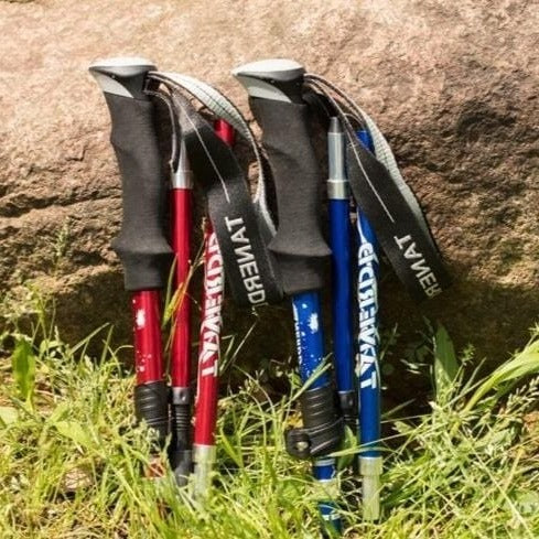 Bastoni da Trekking Regolabili Trail Bound, Asta Telescopica Pieghevole