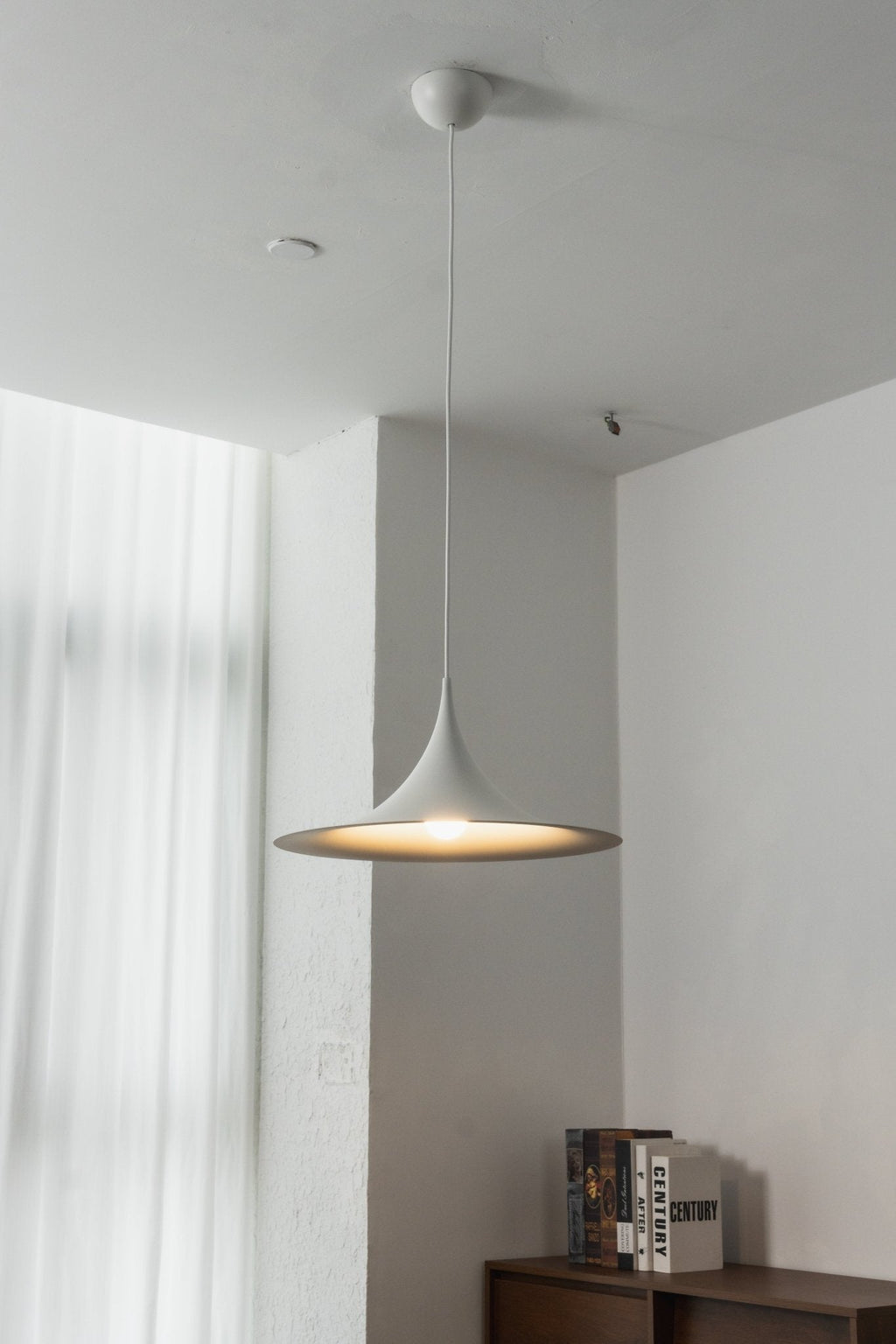 Semi Arched Pendant Light