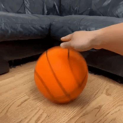 زن هوبس™ كرة سلة صامتة | حلق مع الصمت