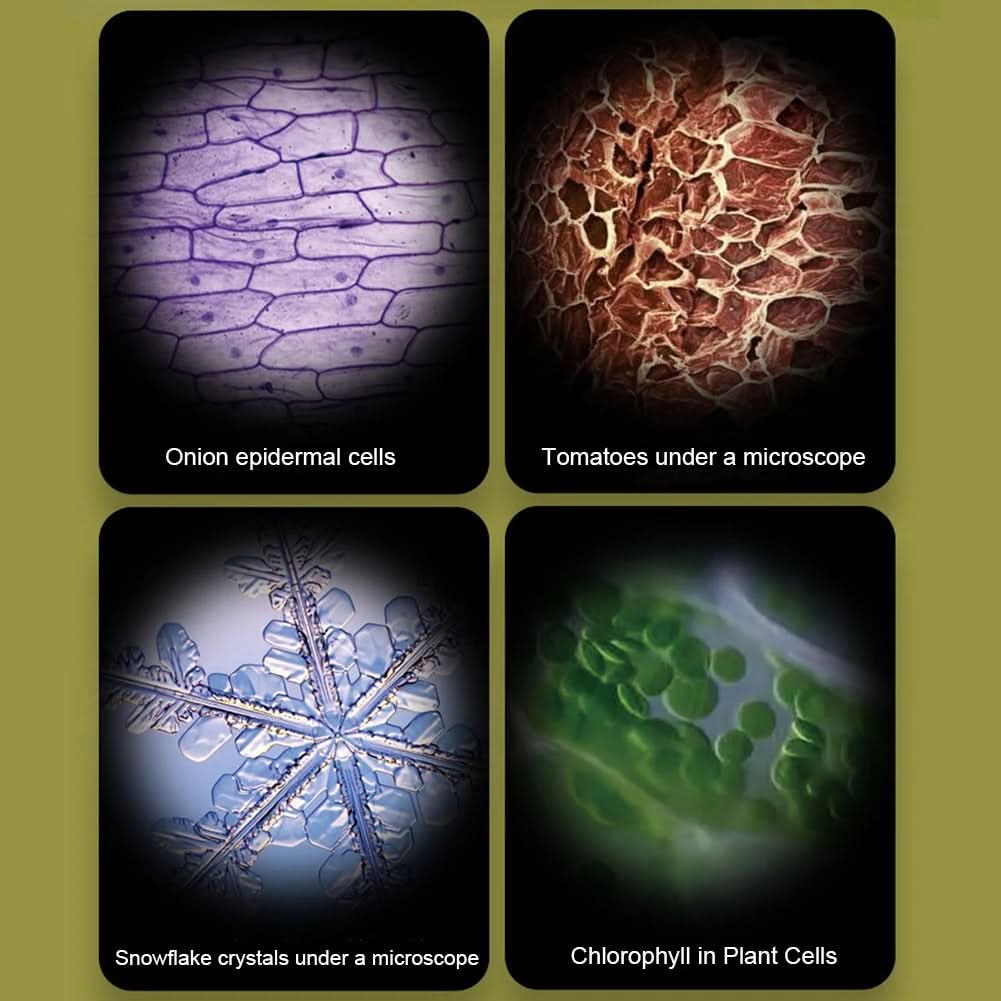 مجهر محمول للأطفال من QuestScope بتكبير 60x-120x للاستكشاف