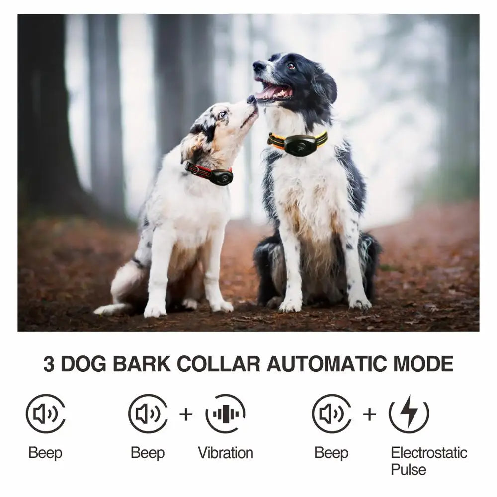 Collare per addestramento cani e collare antiabbaio due in uno
