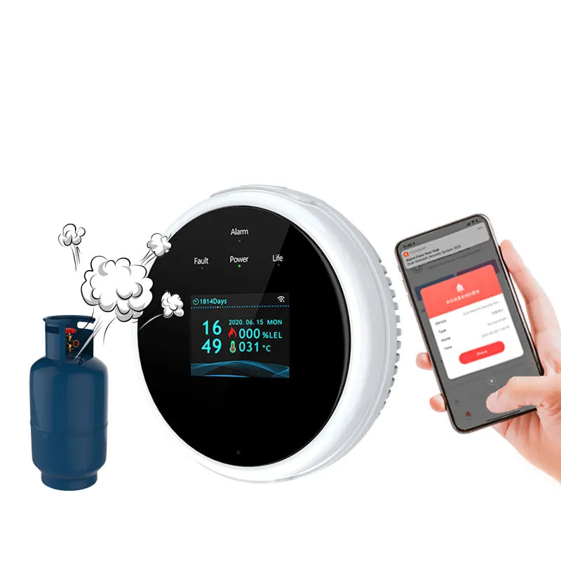 HomeSafe Sentinel: Combustible Gas Detectors With Alarm And LCD Display
