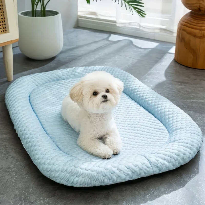 LumaBreeze Kühlendes Hundebett für Haustiere und Hunde – Komfort für den Alltag